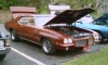 BROWN GTO