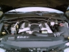 THE ENGINE OF THE NEW GTO'S
