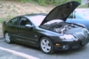 THE NEW GTO